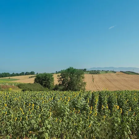 Locazione Turistica Il Falco.3 Apartamento